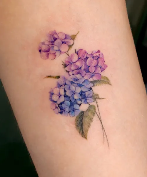 Animal, Nature, Flower