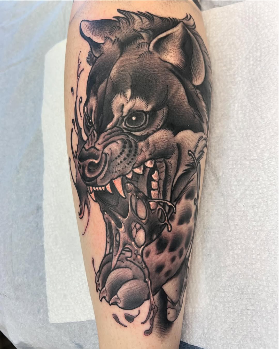 Tiger