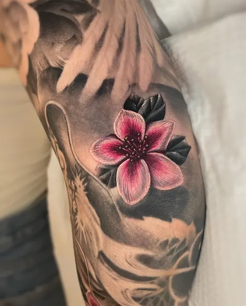 Flower, Rose