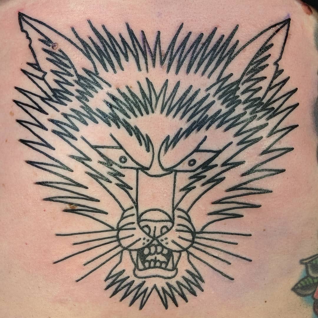 Tiger, Animal