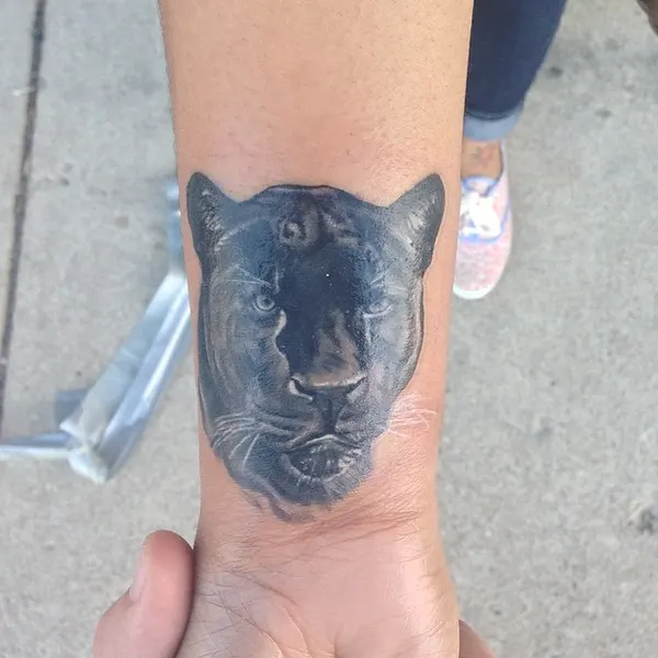 Animal