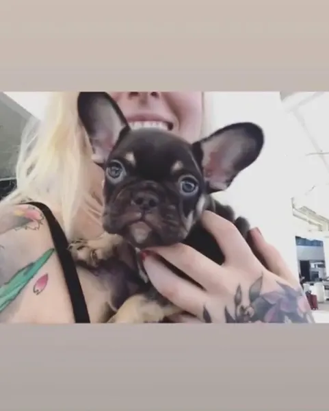 laurajadetattoos