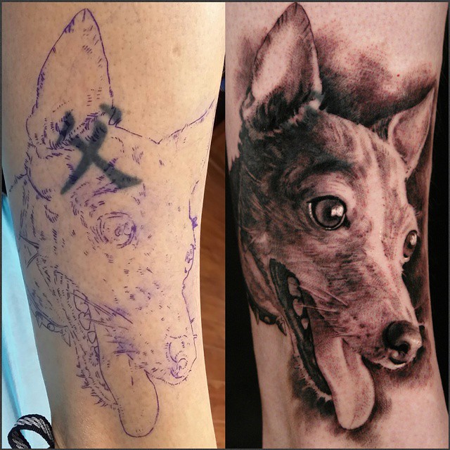 Animal