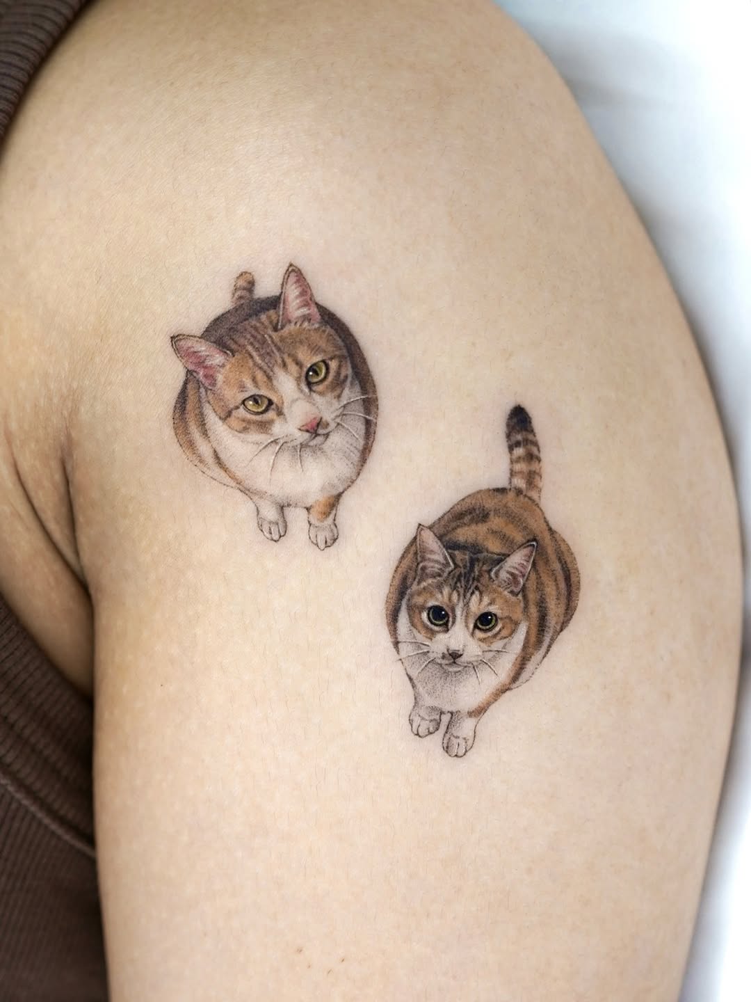 dorok.tattoo