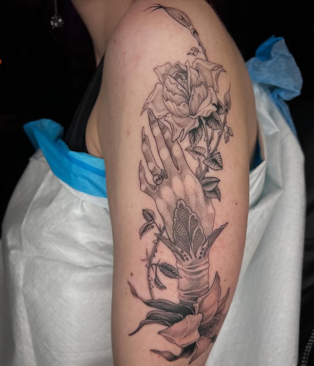 Flower, Rose, Nature