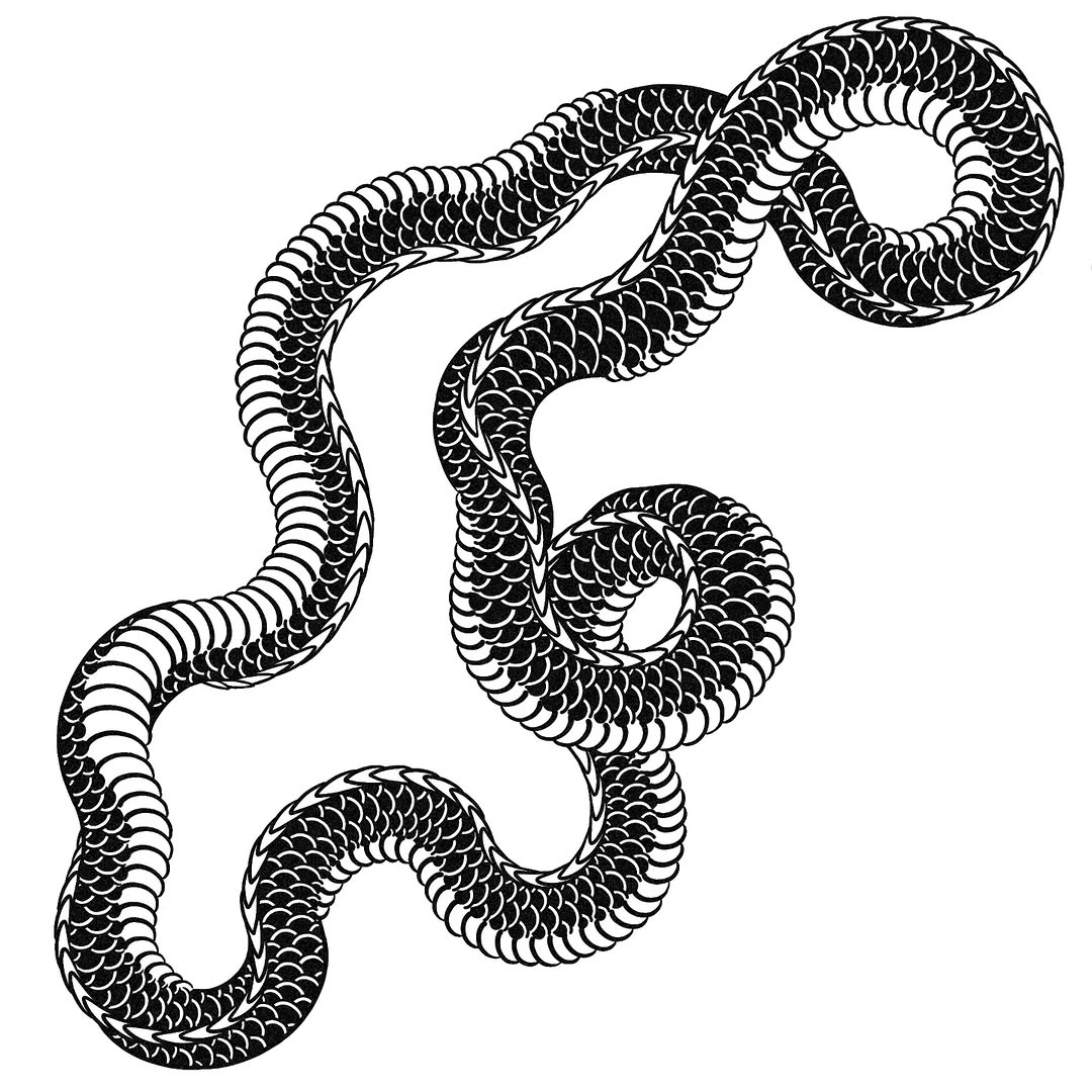 Dragon, Snake