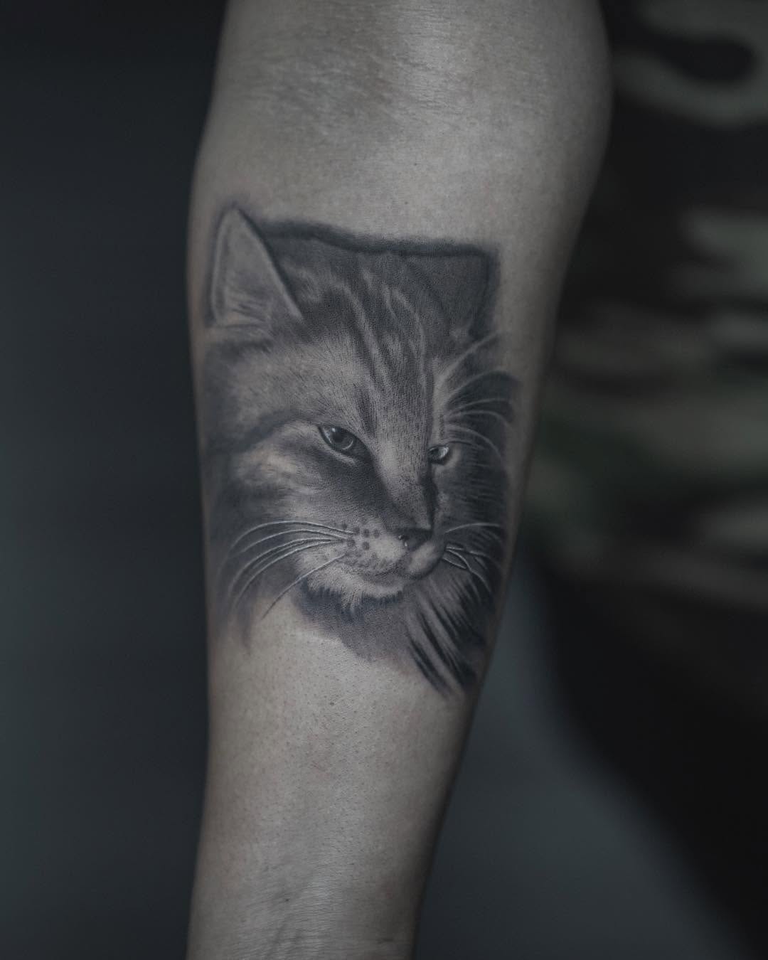 Animal