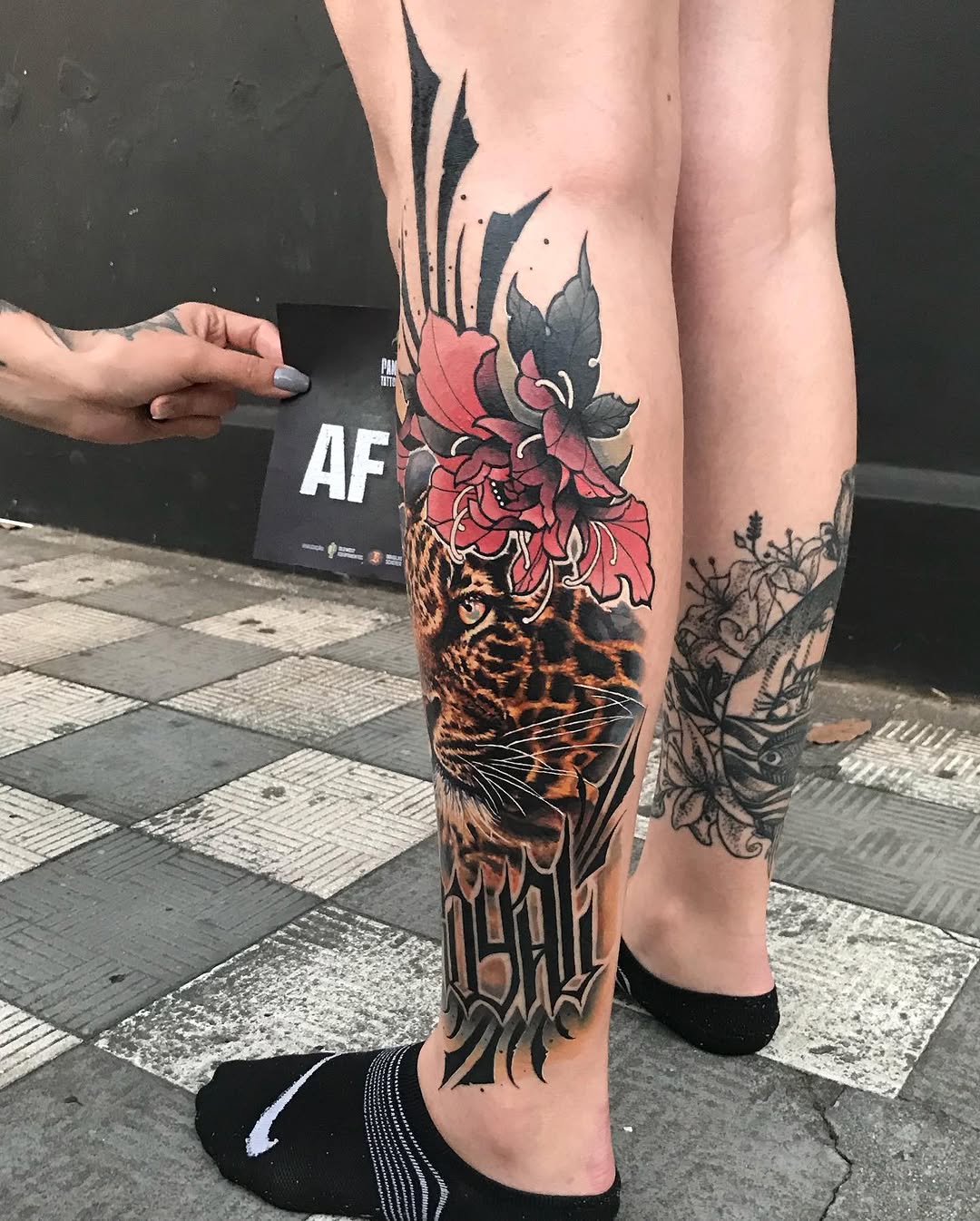 Tiger, Animal