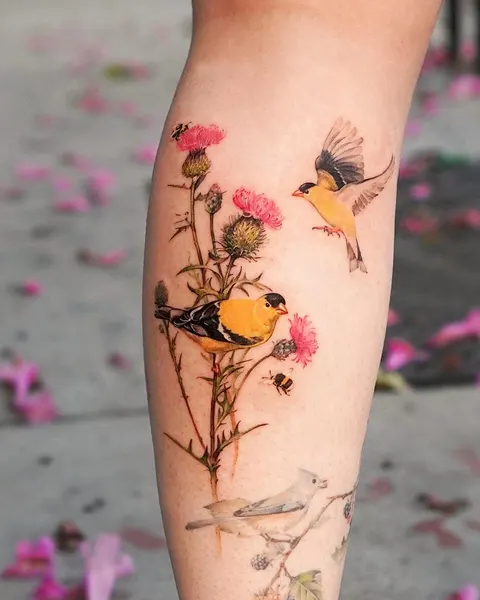 Animal, Nature