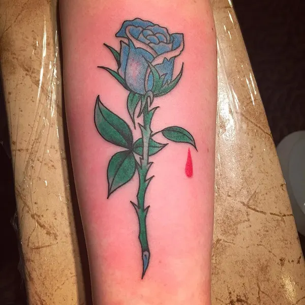 Flower, Rose, Nature