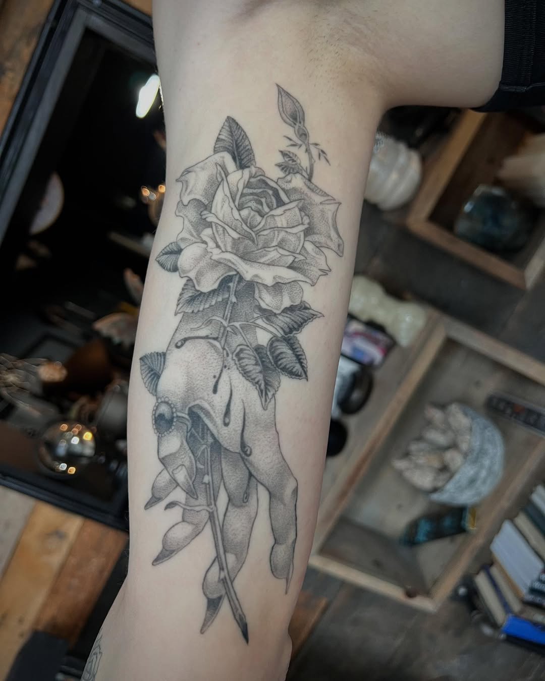 Flower, Rose