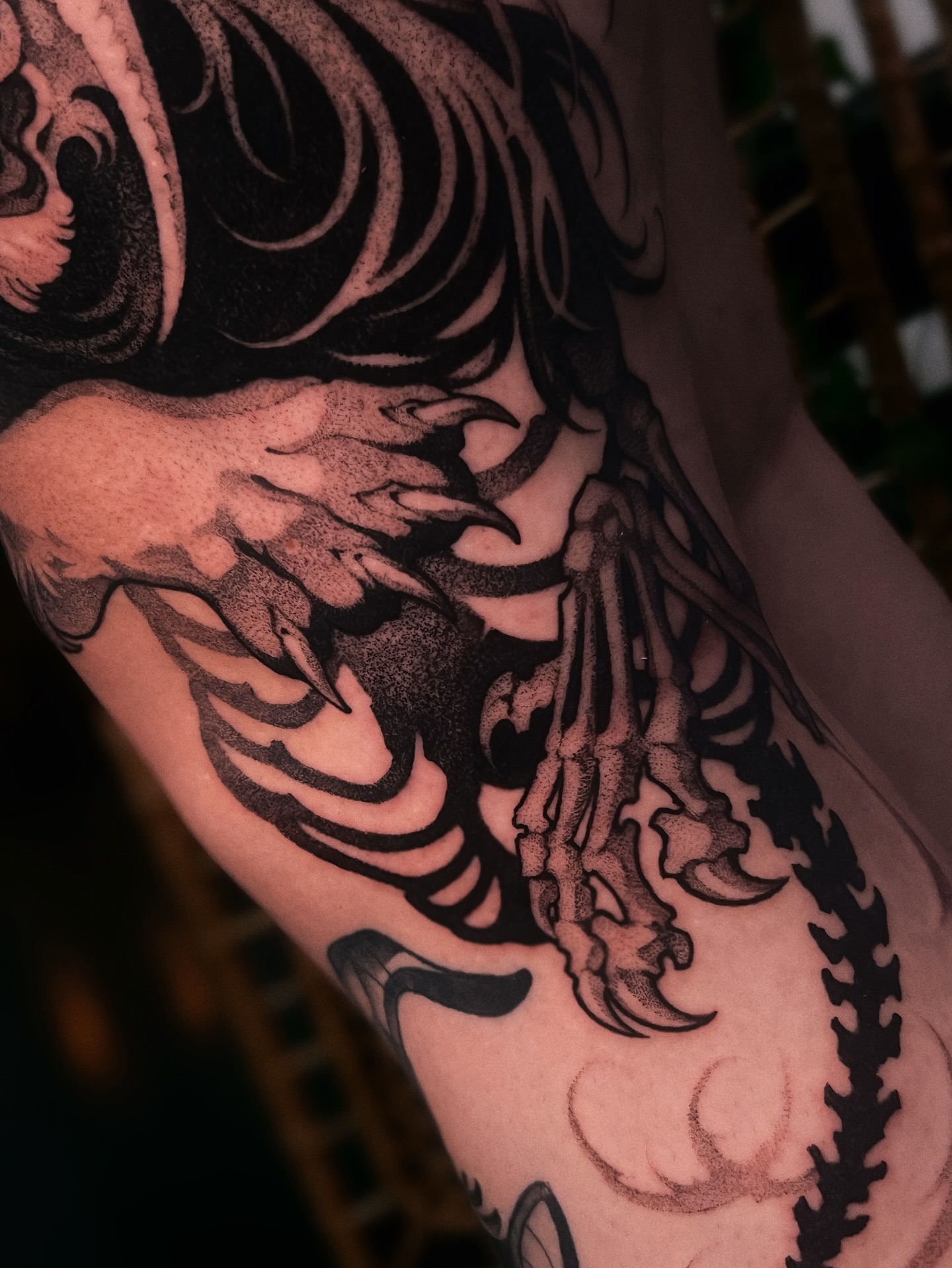 zu_immortal