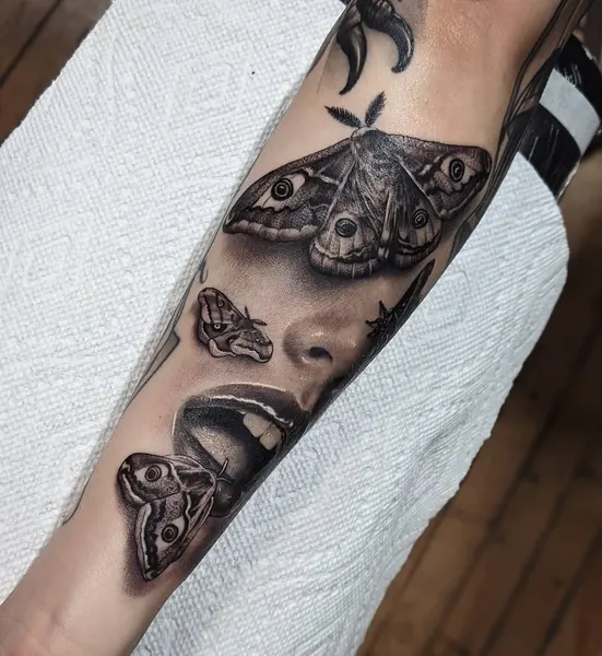 Animal, Nature
