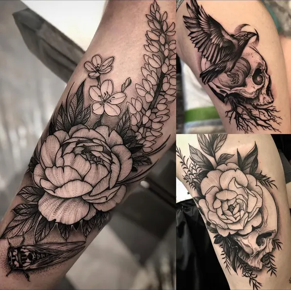 Flower, Rose
