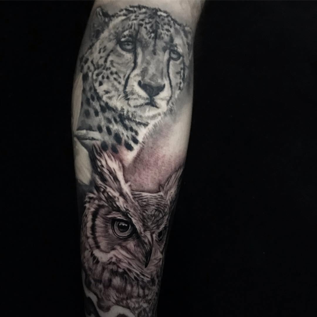 Animal