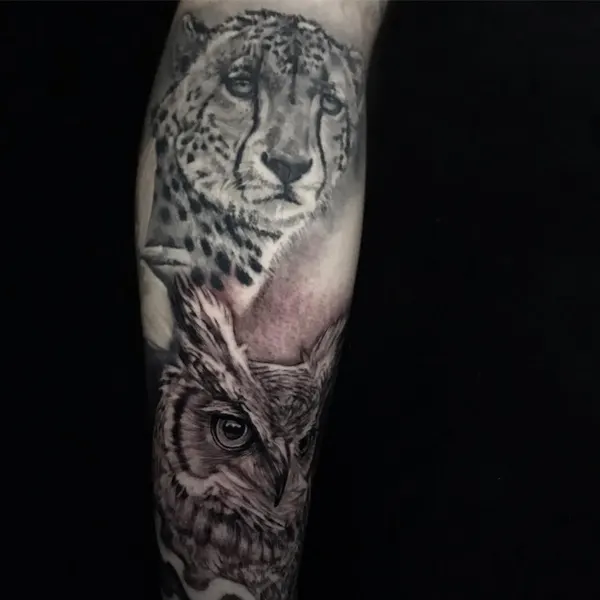 Animal