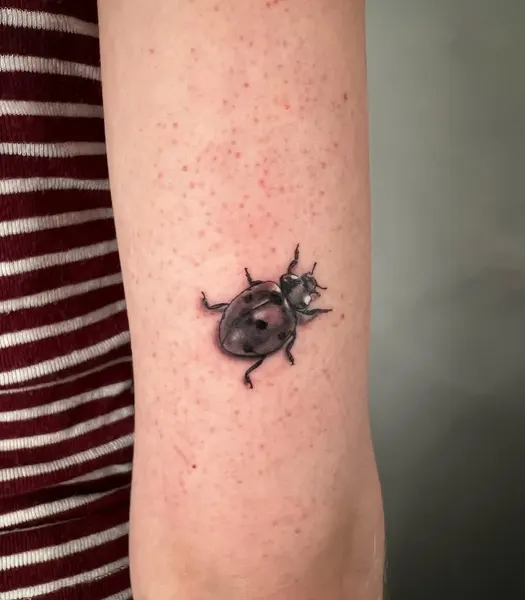 Animal, Mini
