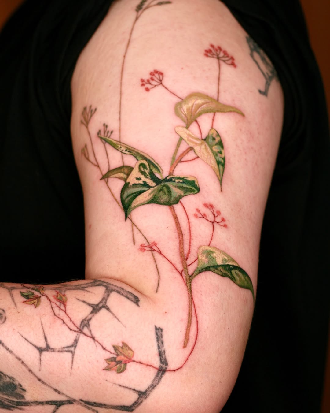 1sle_tattoo