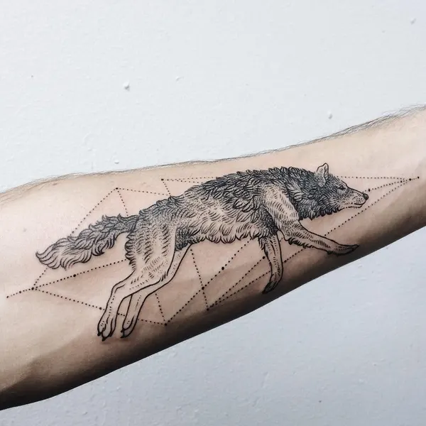 Animal, 멧돼지
