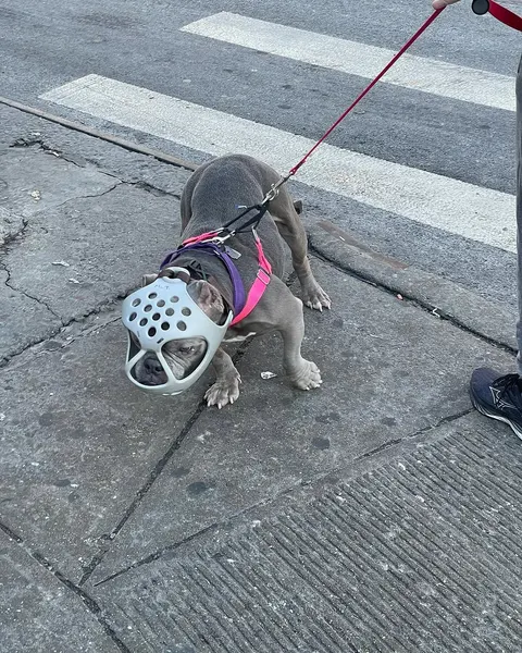 snuffy.nyc