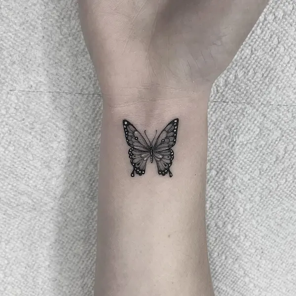Animal, Nature