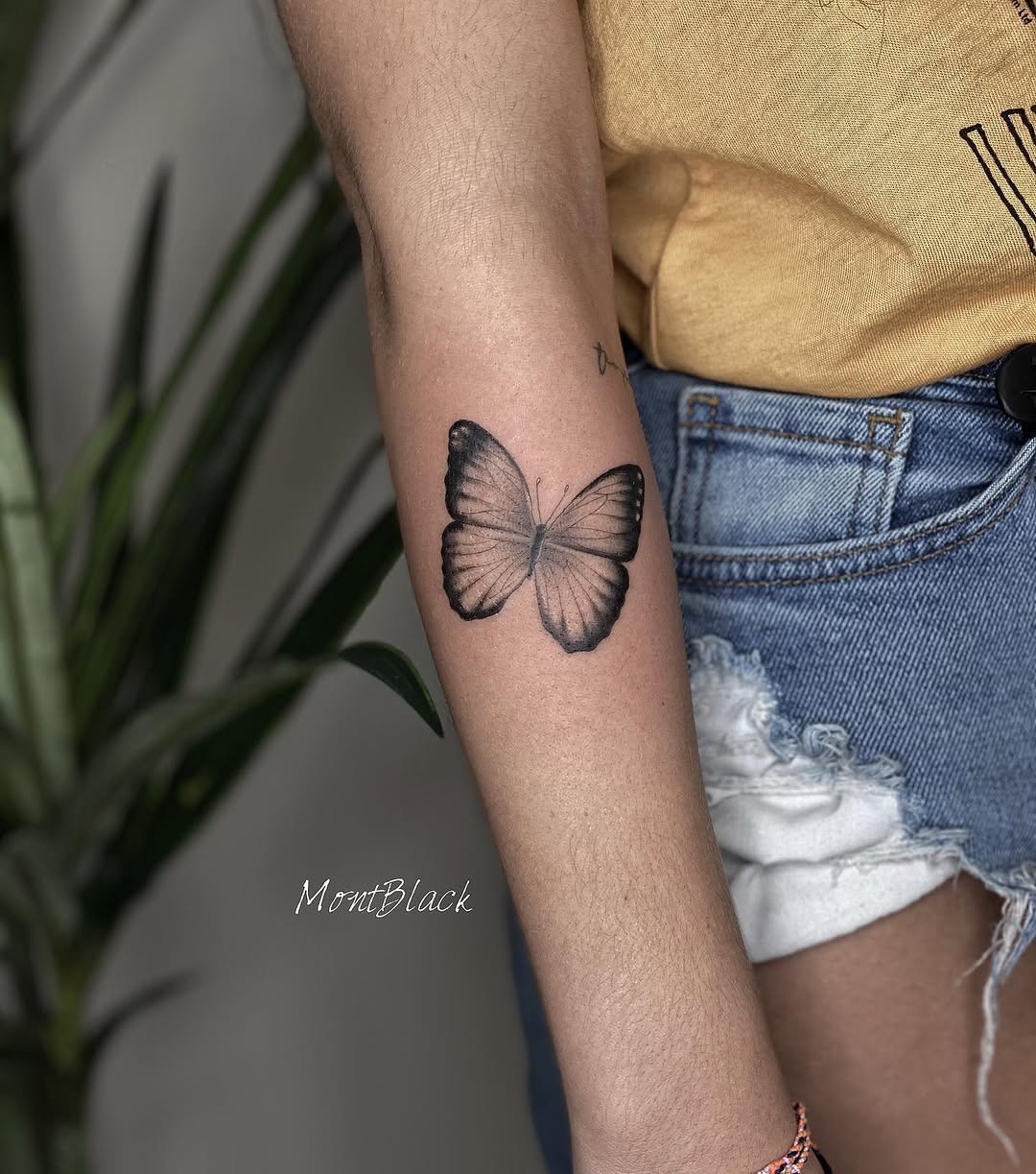 Animal, Nature