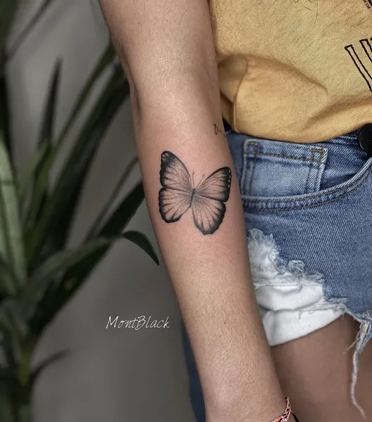 Animal, Nature