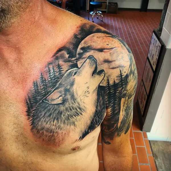 Animal
