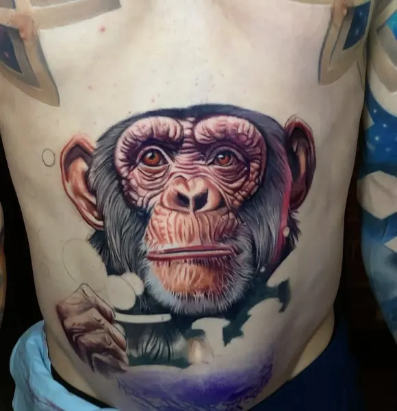 Animal, Tiger