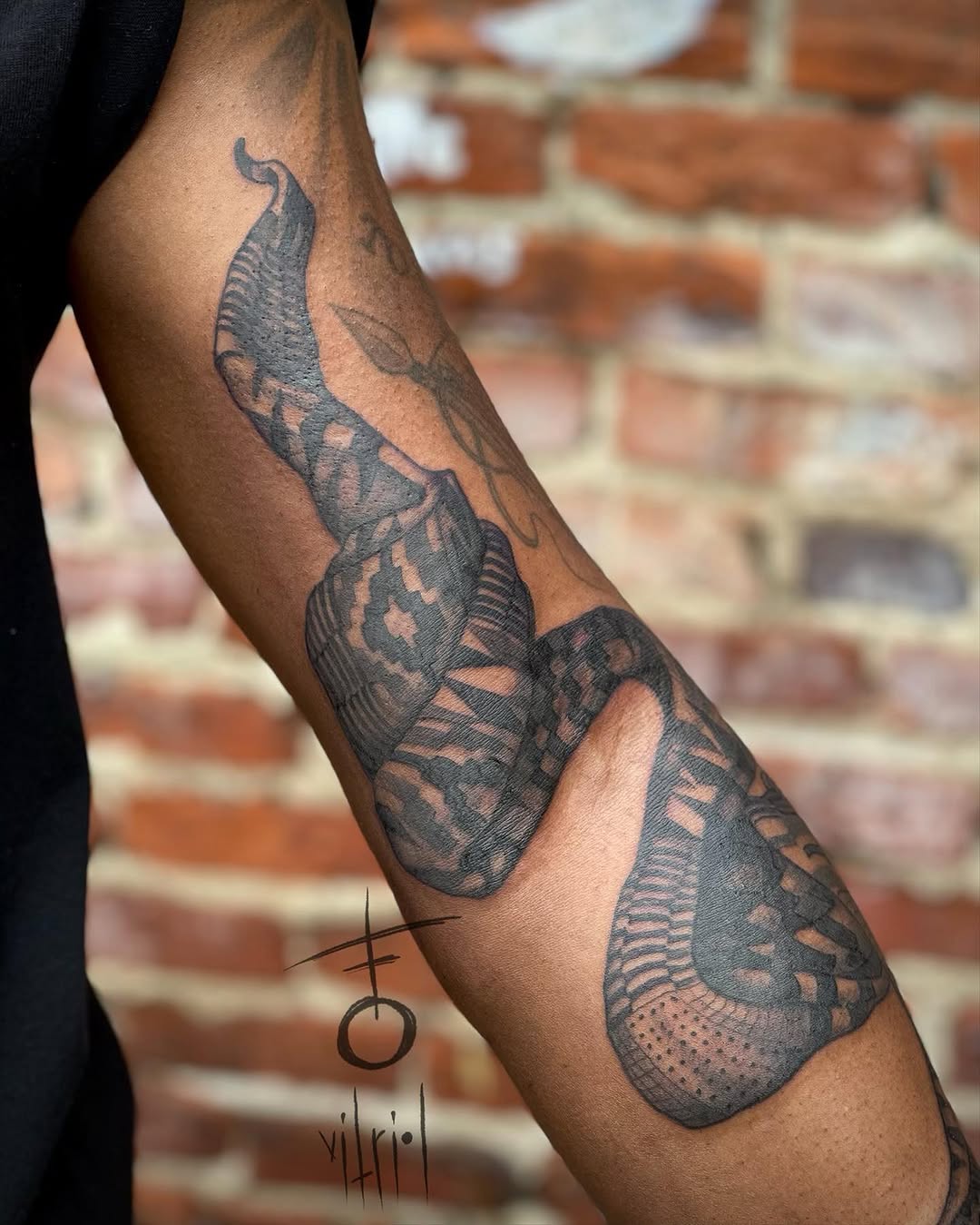 vitrioltattoo