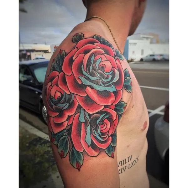 Flower, Rose, Nature