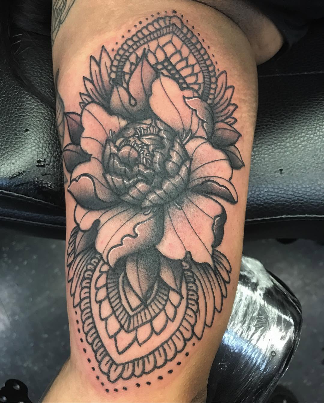 Flower, Rose