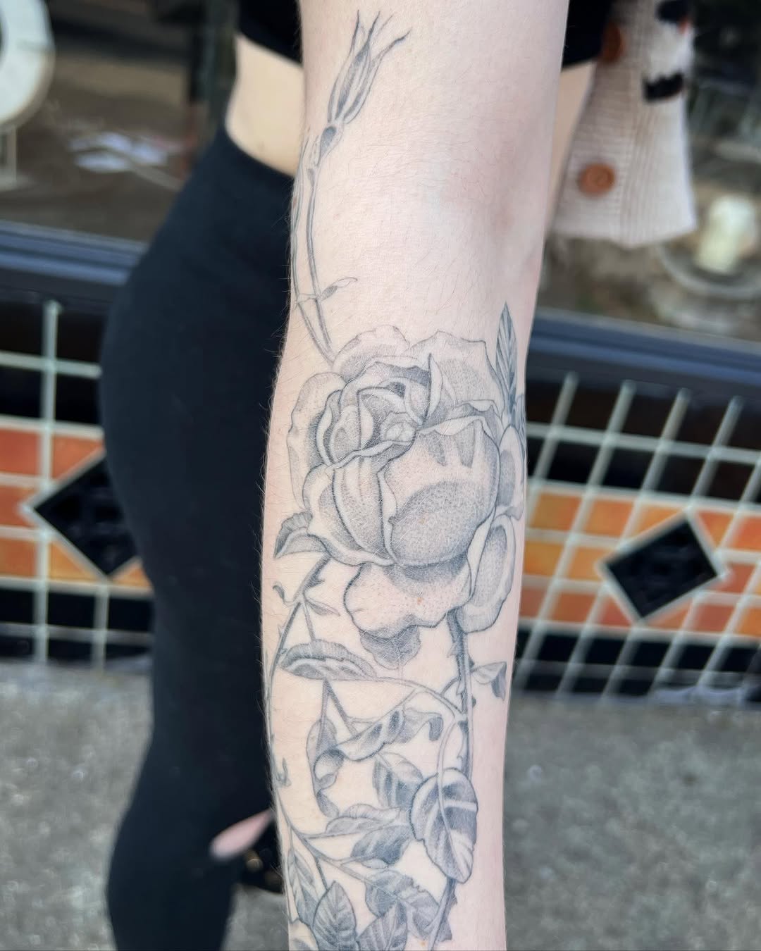 Flower, Rose