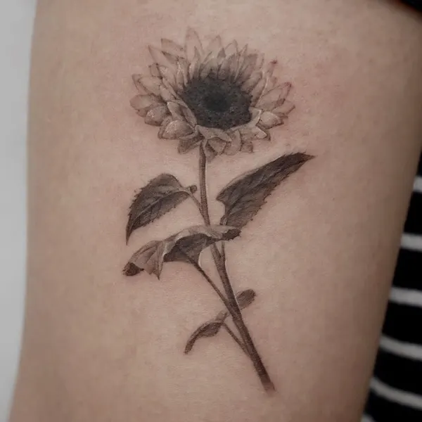 40.tatt