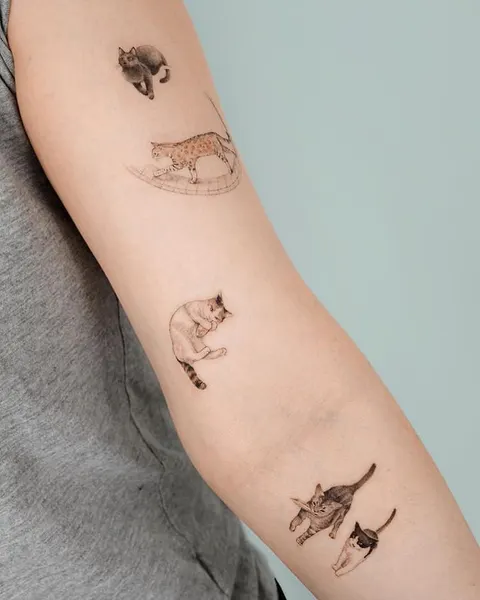 equilattera