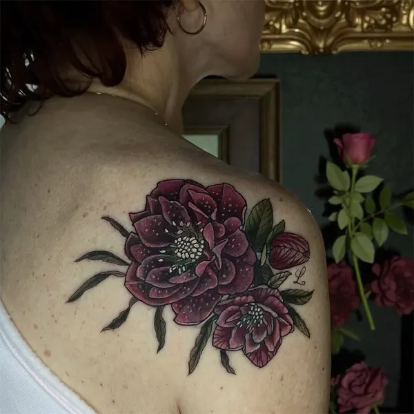 Flower, Rose, Nature