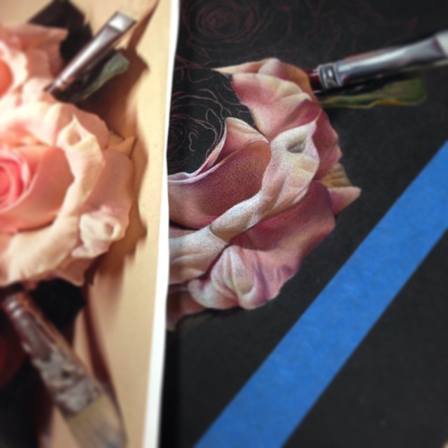 Flower, Rose