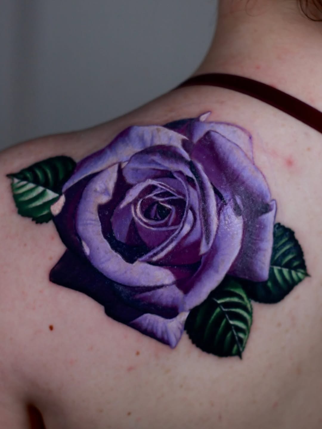 Flower, Rose, Nature