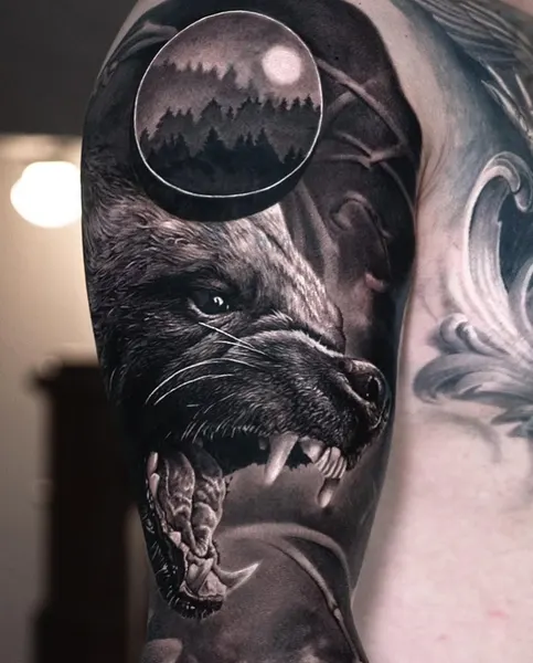 Tiger, Animal