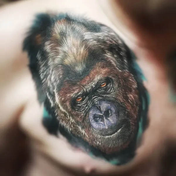 Animal, Tiger