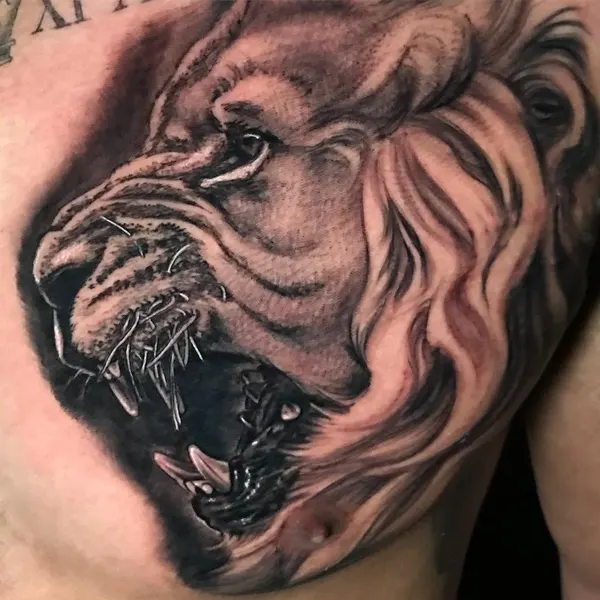 Tiger, 사자
