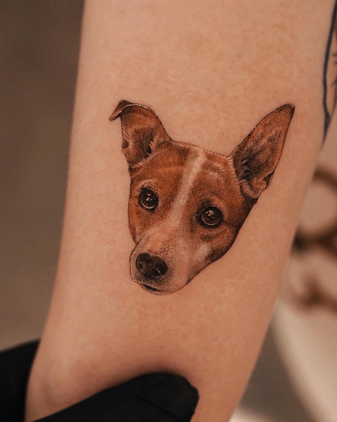 soltattoo