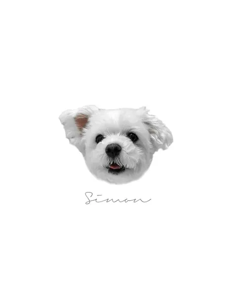 dorok.tattoo