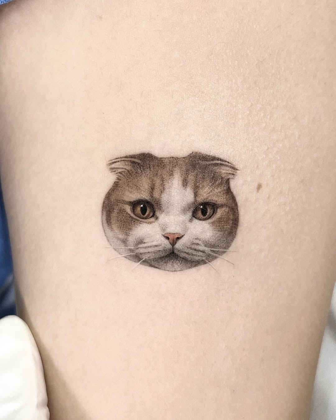 dorok.tattoo