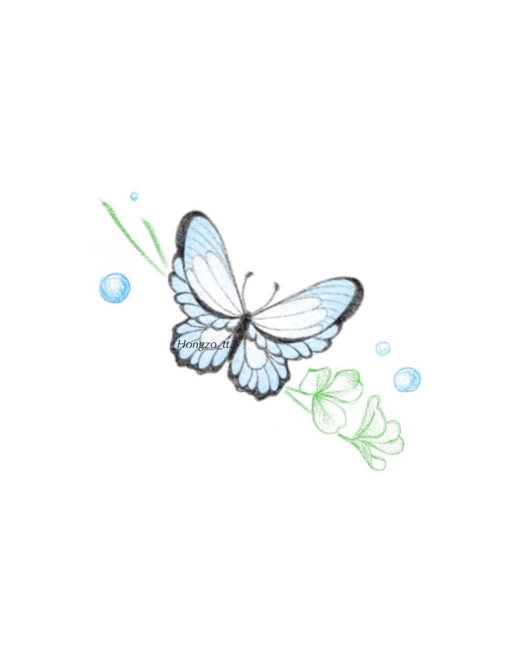 hongzo_tt