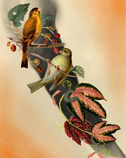 여우, Animal