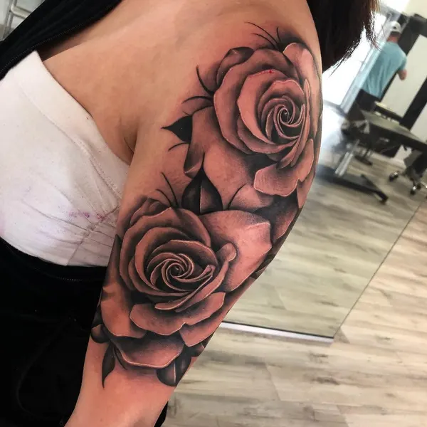 Flower, Rose, Nature