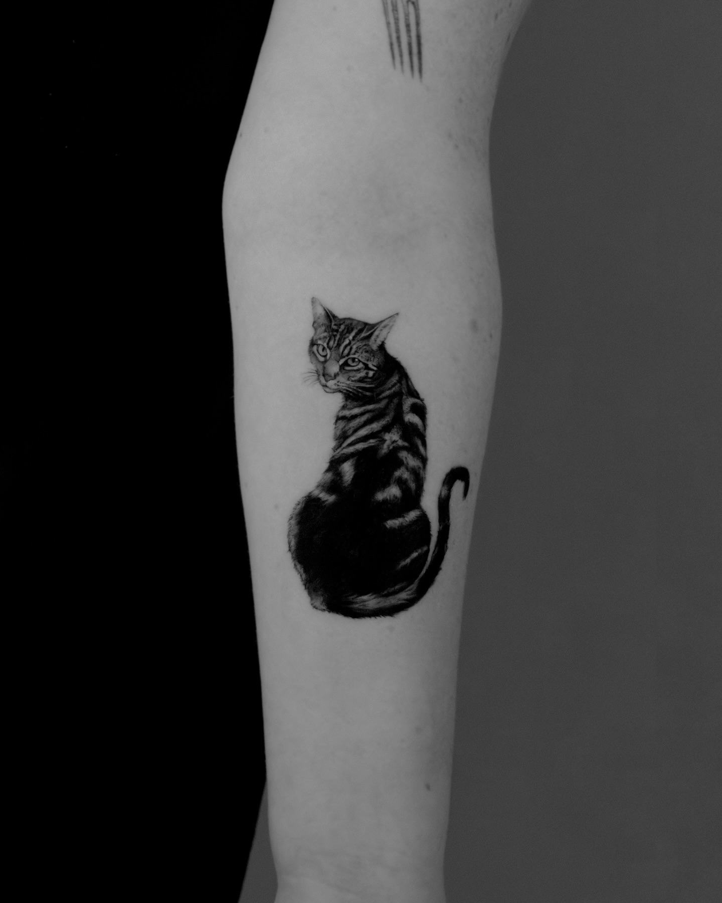 henkotattooart