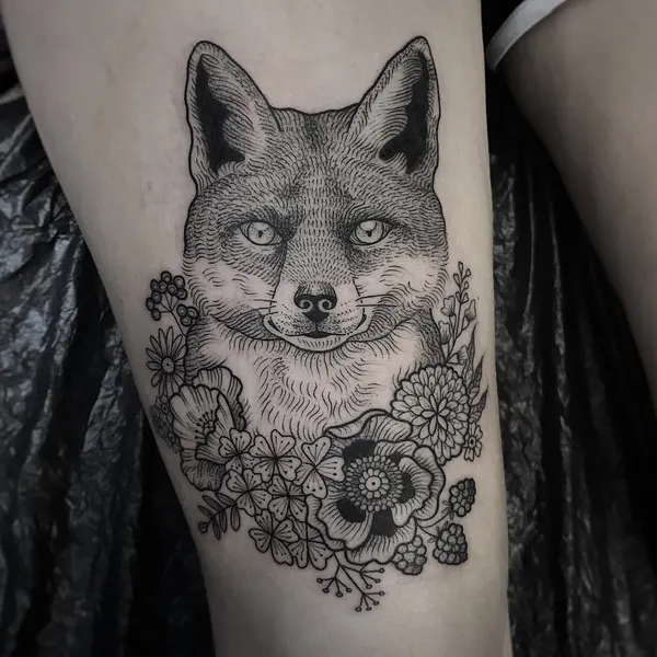 Animal, 여우