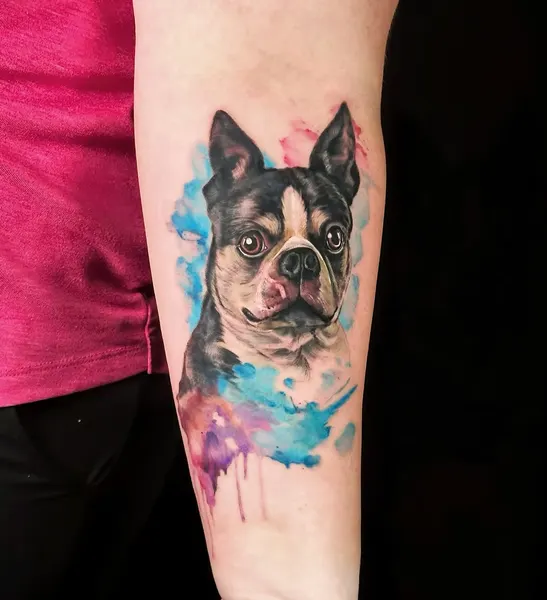 Animal